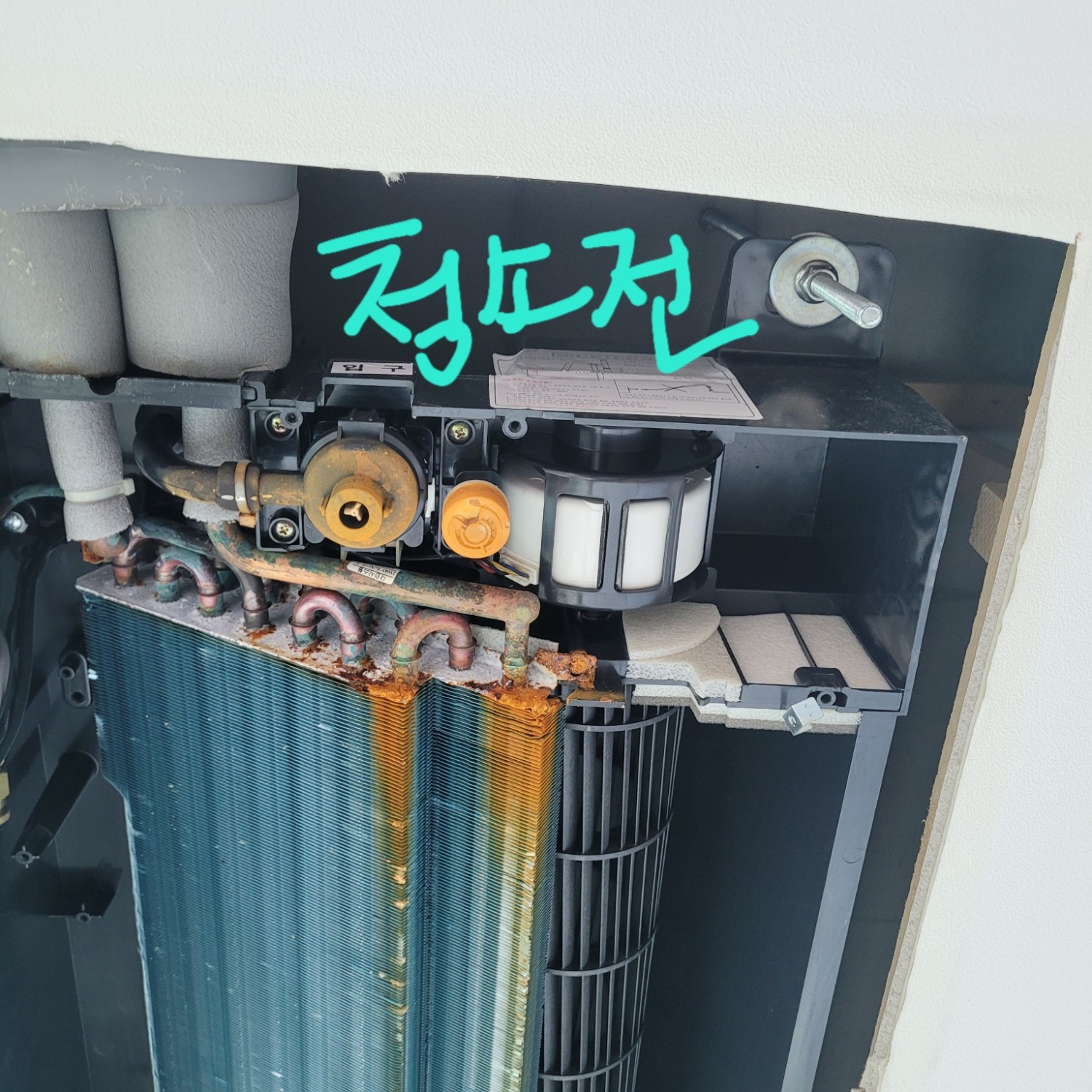 전.jpg